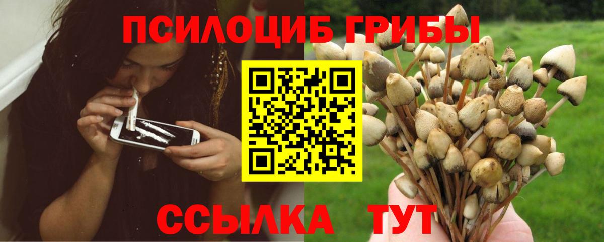 Галлюциногенные грибы GOLDEN TEACHER  Вход с VPN  Вязники 